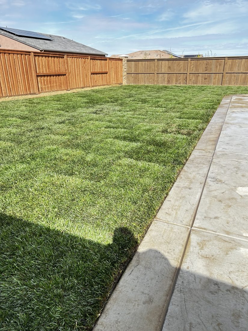Green lawn